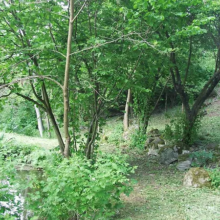 Napsugar Vendeghaz Guest house
