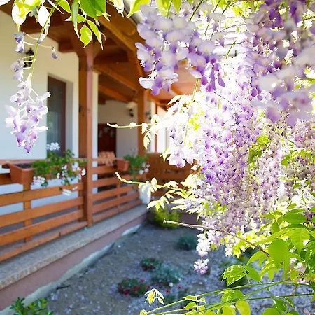 Guest house Napsugar Vendeghaz